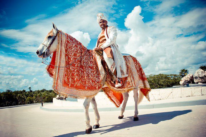 BARAAT HORSE