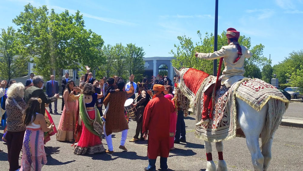 BARAAT HORSE