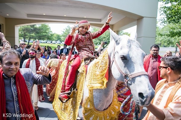 BARAAT HORSE