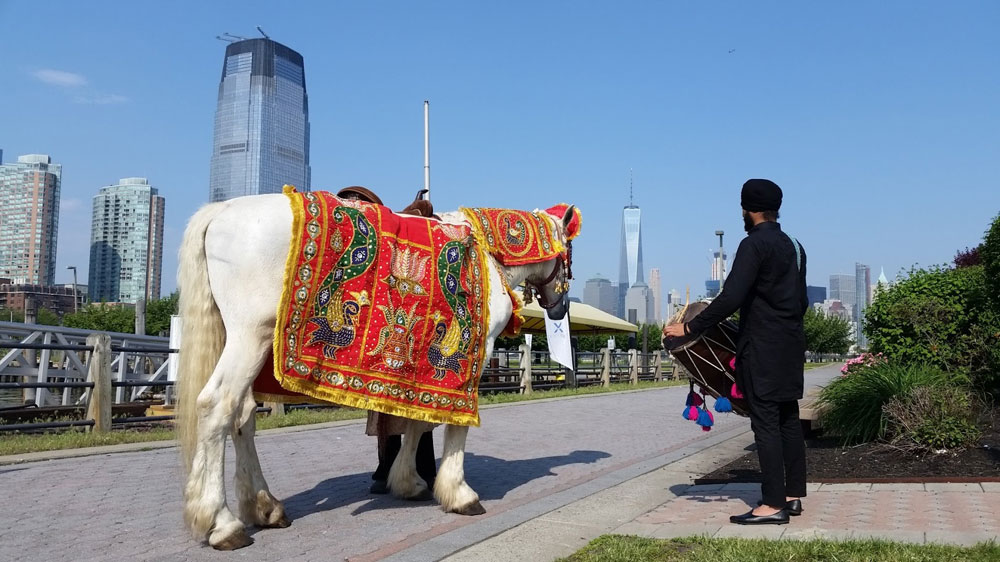 BARAAT HORSE